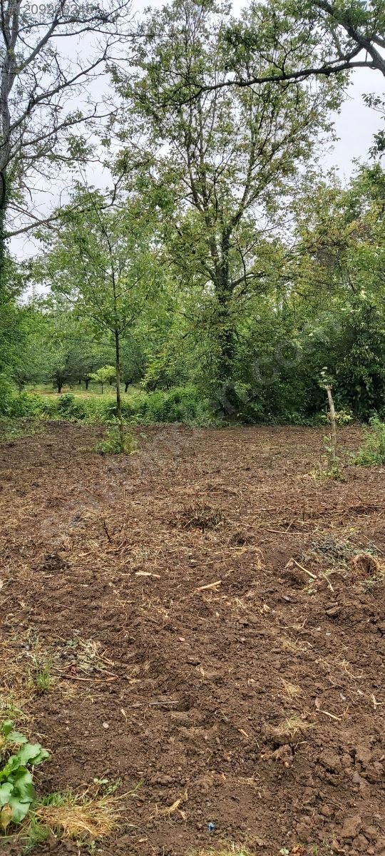 BURSA KESTEL KOZLUÖREN 507 M² BAHÇE SATILIKTIR - BURSA KESTEL fotoğraf 9