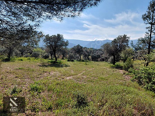 Kemalpaşa Dereköy'de Satılık 4850 m2 Bahçe - İZMİR KEMALPAŞA fotoğraf 5