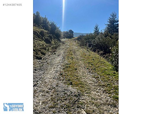 BENCİKORTA'DA İÇİNDE SU KUYUSU BULUNAN SATILIK HOBİ BAHÇESİ - MUĞLA YATAĞAN fotoğraf 2