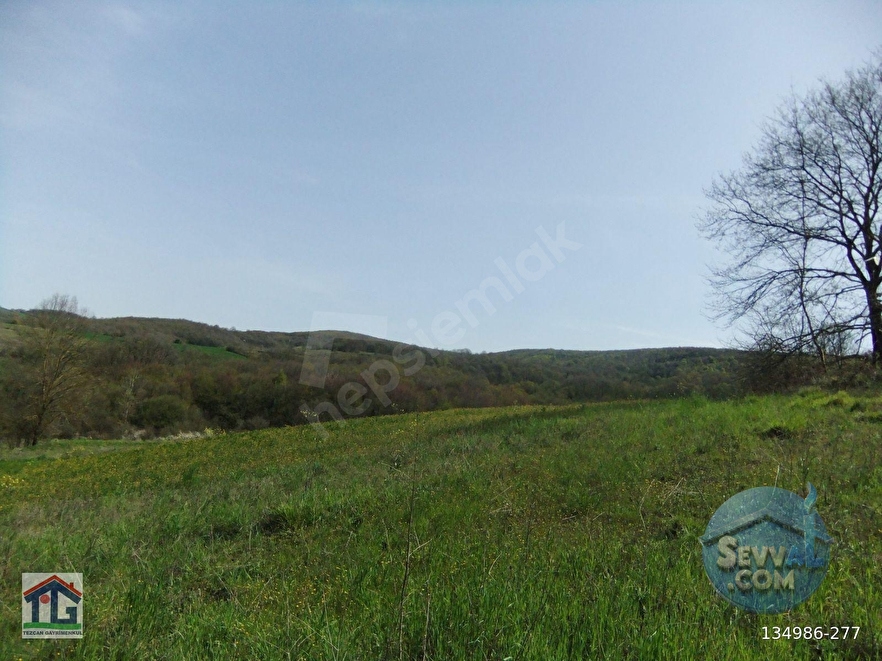 KOCAELİ/KANDIRA/AHMETHACILAR KÖYÜNDE SATILIK 2 PARSEL TARLA. - KOCAELİ KANDIRA fotoğraf 3