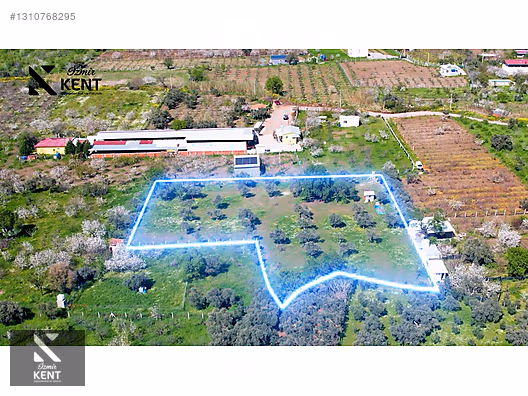 Kemalpaşa Armutlu Satılık Arazi 4.000 m2 - İZMİR KEMALPAŞA fotoğraf 25