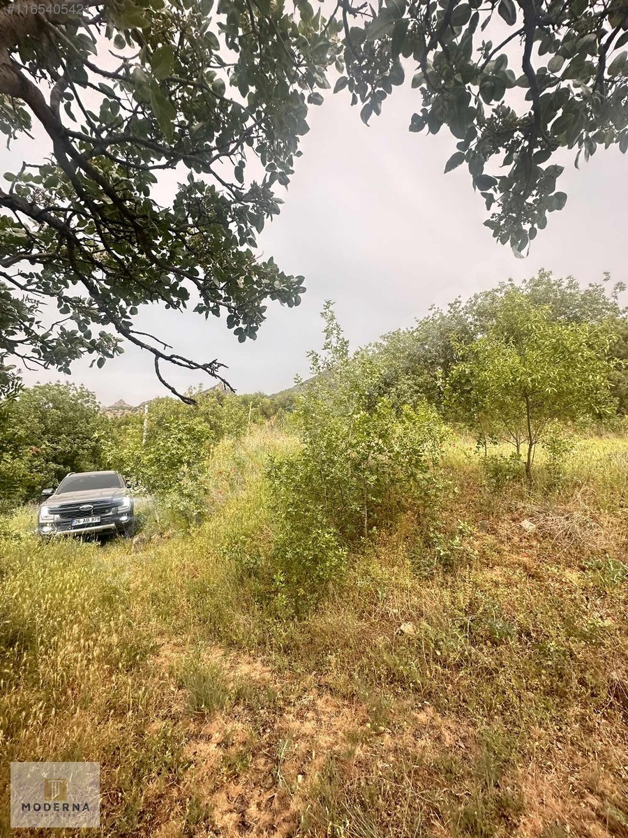 MİHALGAZİ DEMİRCİLER'DE KÖY İÇİ YOLA CEPHELİ 320 M2 - ESKİŞEHİR MİHALGAZİ fotoğraf 15
