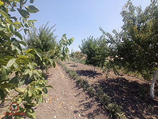 ARTER EMLAK'TAN ALTIEYLÜL ATKÖYDE 1850 M² SATILIK HOBİ BAHÇESİ - BALIKESİR ALTIEYLÜL fotoğraf 4