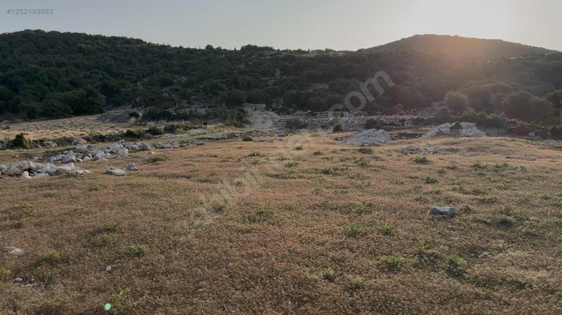 HATAY / YAYLADAĞI / ŞENKÖY MAHALLESİNDE YATIRIMLIK İMARLI ARSA! 490 M²