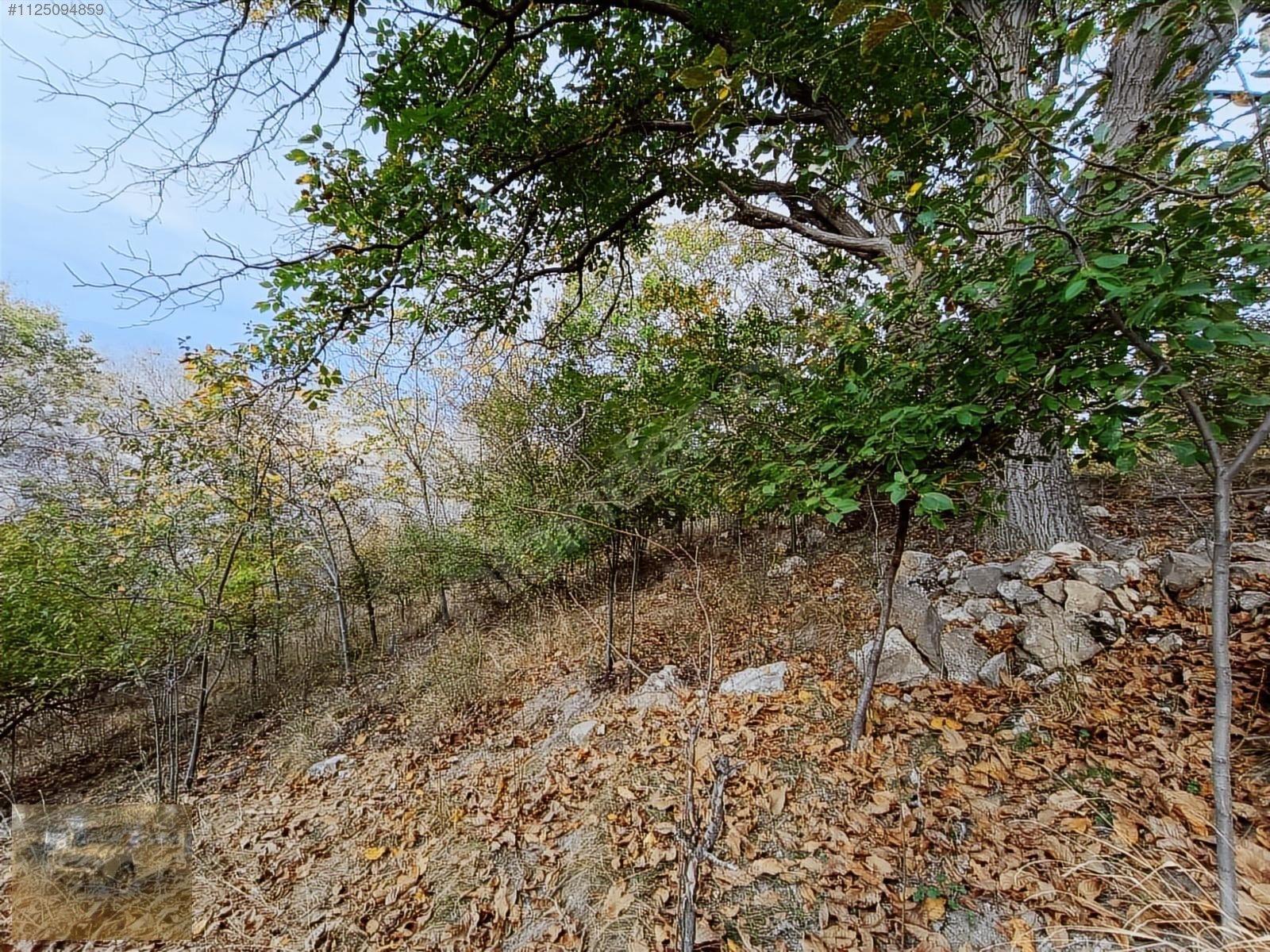 Kemer belenlide kòyiçi arsa bahçe suyu sınırsız sulama - BURDUR KEMER fotoğraf 21