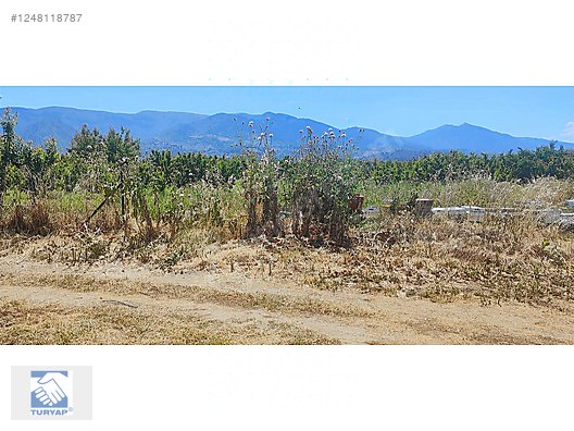 Kemalpaşa Örende 1234 M2 Satılık Müstakil Bahçe - İZMİR KEMALPAŞA fotoğraf 21