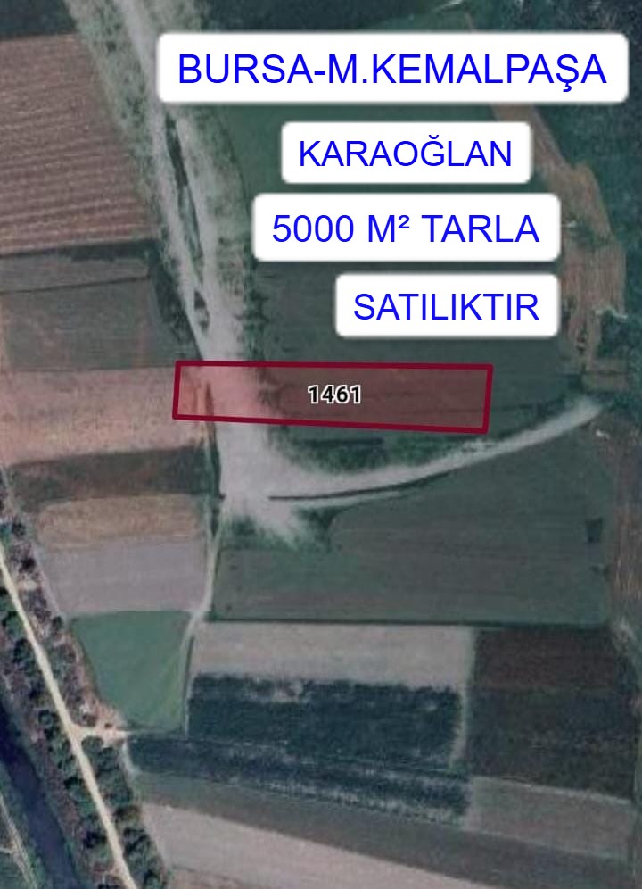 BURSA M.KEMALPAŞA KARAOĞLAN MAH.5000M² TARLA SATILIKTIR - BURSA MUSTAFAKEMALPAŞA fotoğraf 2
