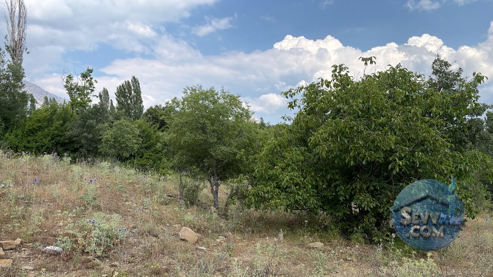 AĞLASUN KIRAÇ MAHALLESİNDE SATILIK FIRSAT ARAZİ - Burdur Ağlasun fotoğraf 23