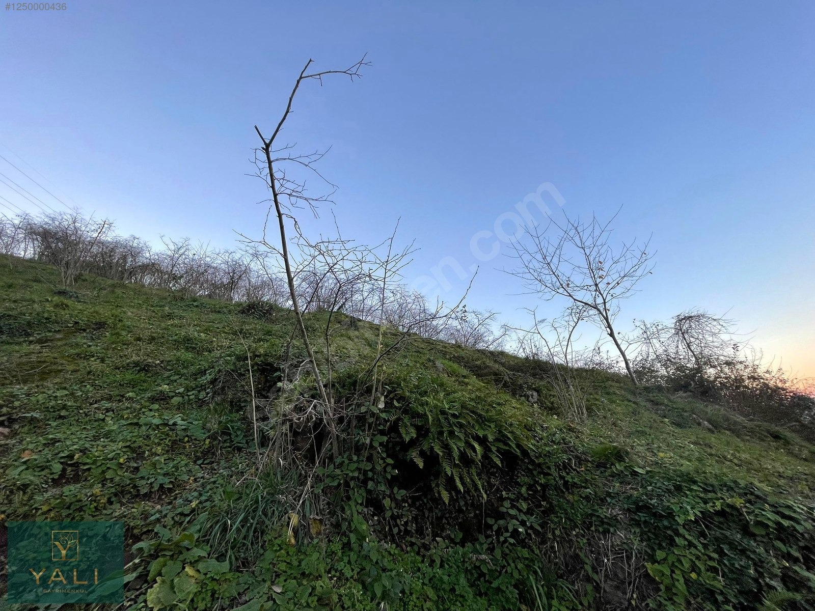 SELDEĞİRMENİ'NDE İMARLI FULL MANZARALI 716M2 SATILIK ARSA - GİRESUN MERKEZ fotoğraf 2