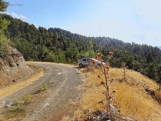 konyaaltı Doyranda 629m tapulu arsa - ANTALYA KONYAALTI fotoğraf 3