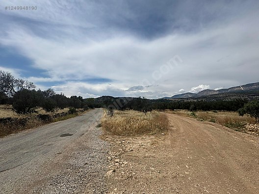   MERSİN MUT YAPINTI KÖYÜ 905M² HİSSESİZ ZEYTİN BAHÇEMİZ SATILIKTIR.  - MERSİN MUT fotoğraf 5