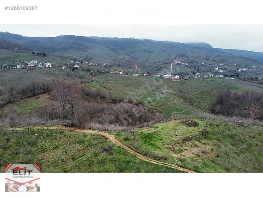 DÜZCE AKÇAKOCA DA EV YAPIMINA UYGUN SATILIK 7.768 M2 FINDIKLIK - DÜZCE AKÇAKOCA fotoğraf 11