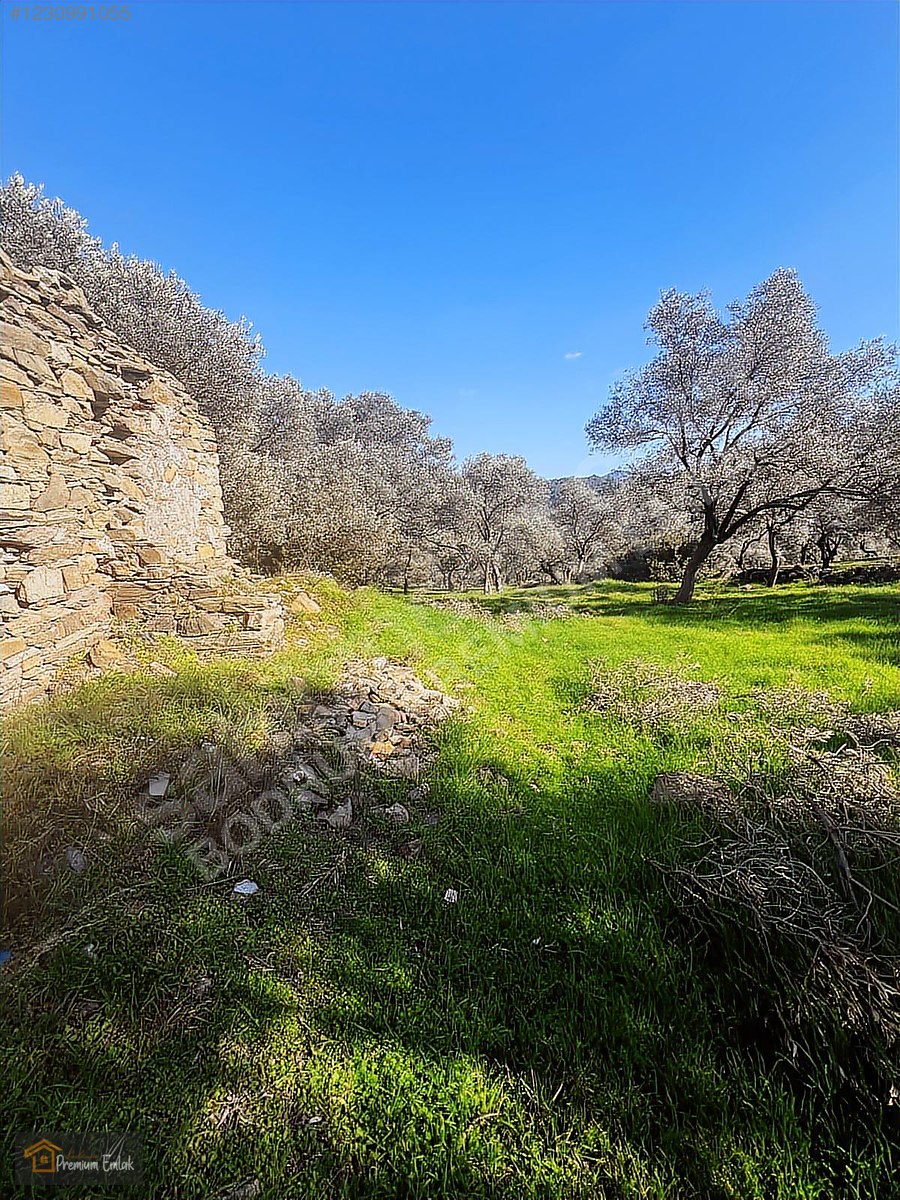 MİLAS KARACAHİSARDA KÖY İÇİ KAĞİR EV VE 980 M2 ARSASI - MUĞLA MİLAS fotoğraf 18