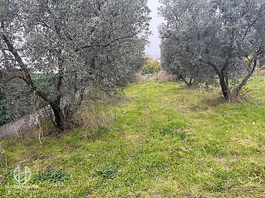 BÖLGE UZMANI HAS EMLAK DENİZ MANZARALI FIRSAT HOBİ BAHÇESİ - BURSA MUDANYA fotoğraf 40