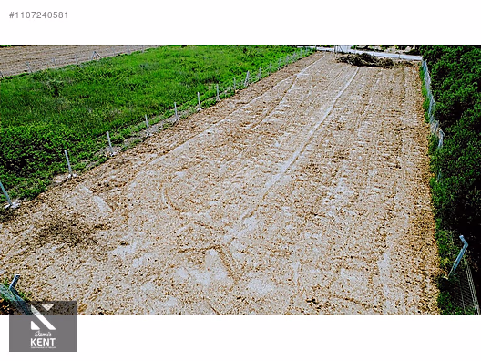 Kemalpaşa Aşağıkızılca Satılık Bahçe 1.200 m2 Tek Tapu - İZMİR KEMALPAŞA fotoğraf 22