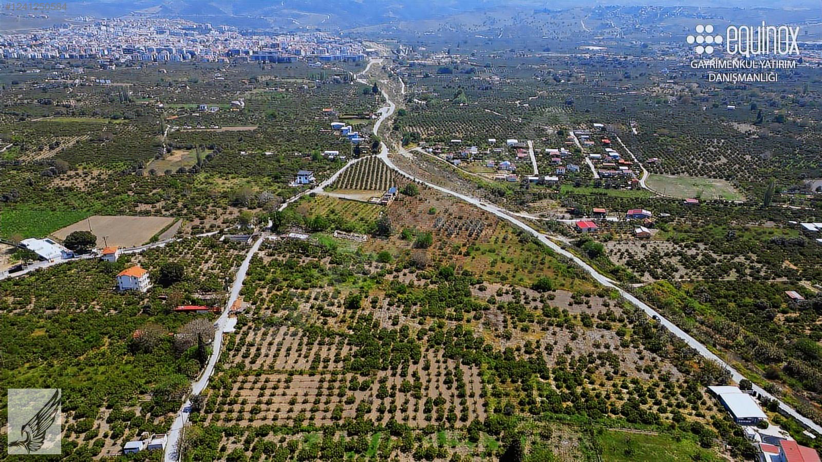 Seferihisar camikebir mh 3500 m2 cift cepheli mandalina bahçesi - İZMİR SEFERİHİSAR fotoğraf 4