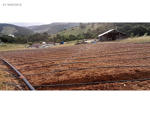 BURSA İZNİK BAYINDIR KÖYÜNDE 5.808 M² TARLA SATILIKTIR - BURSA İZNİK fotoğraf 7