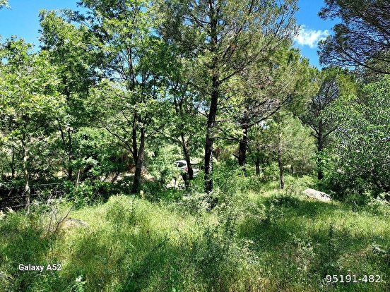 BERGAMA KOZAK YAYLASI KIRANLI MAH DE 1580 M2 BAĞ - İZMİR BERGAMA fotoğraf 5