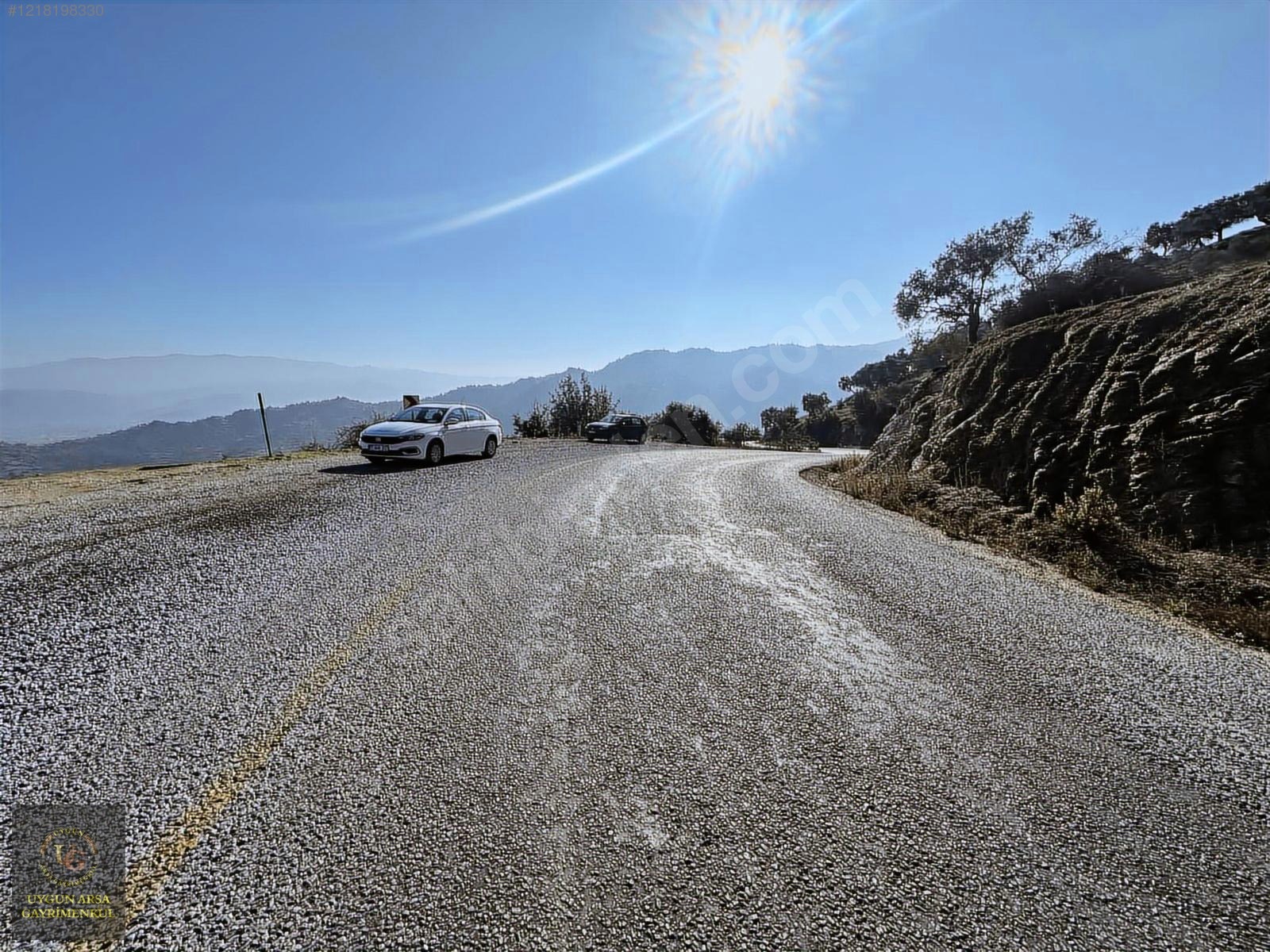 AYDIN KARPUZLU MERKEZ'DE 21.050 M2 ANA YOLA CEPHE ZEYTİNLİK - AYDIN KARPUZLU fotoğraf 5