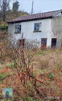 perşembe Ortatepe köyünde üzerinde ev olan 7000m2 fındık bahçeli arazi satılık - ORDU PERŞEMBE fotoğraf 10