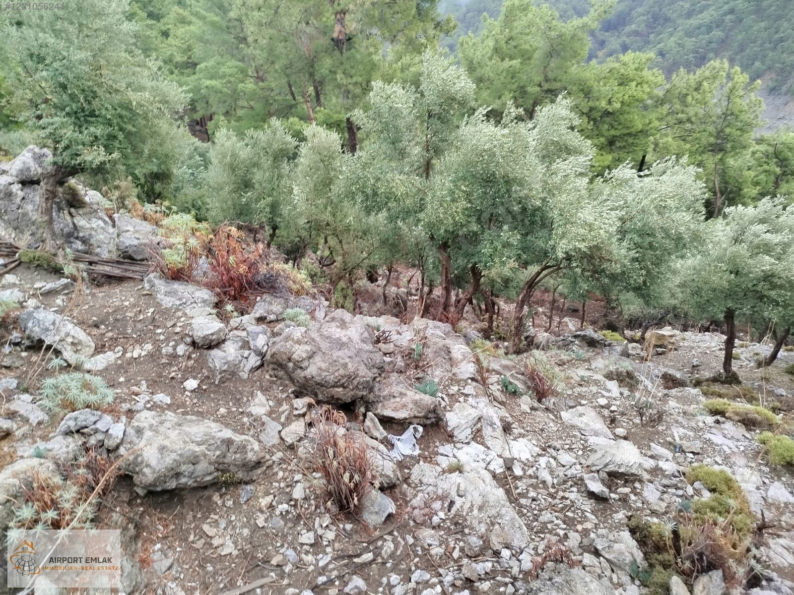 AIRPORT EMLAKTAN KÖYCEĞİZ AKKÖPRÜ BARAJI MANZARALI SATILIK TARLA - MUĞLA KÖYCEĞİZ fotoğraf 3