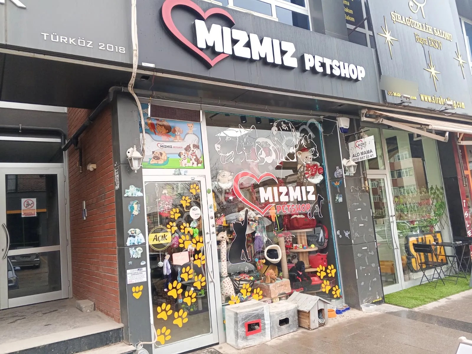 Devren Satılık Yüksek Cirolu Petshop - KOCAELİ KÖRFEZ fotoğraf 3