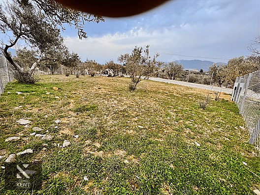 Kemalpaşa Aşağıkızılca Satılık Bahçe 350 m2 Elektrik Su Mevcut - İZMİR KEMALPAŞA fotoğraf 13