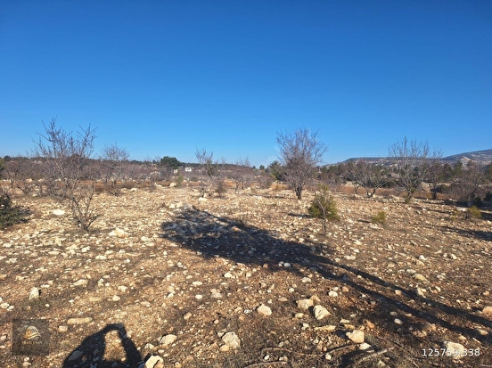 GÜLNAR SARAY MAHALLESİNDE SATILIK 10500 M2 TARLA - MERSİN GÜLNAR fotoğraf 2