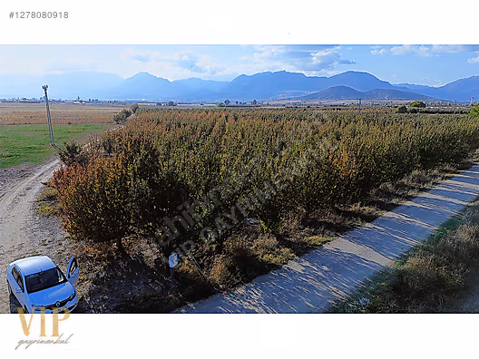 VİP GAYRİMENKUL'den BAYRALAR MAH. 29.648 m² ELMA-ARMUT BAHÇESİ - ANTALYA ELMALI fotoğraf 20