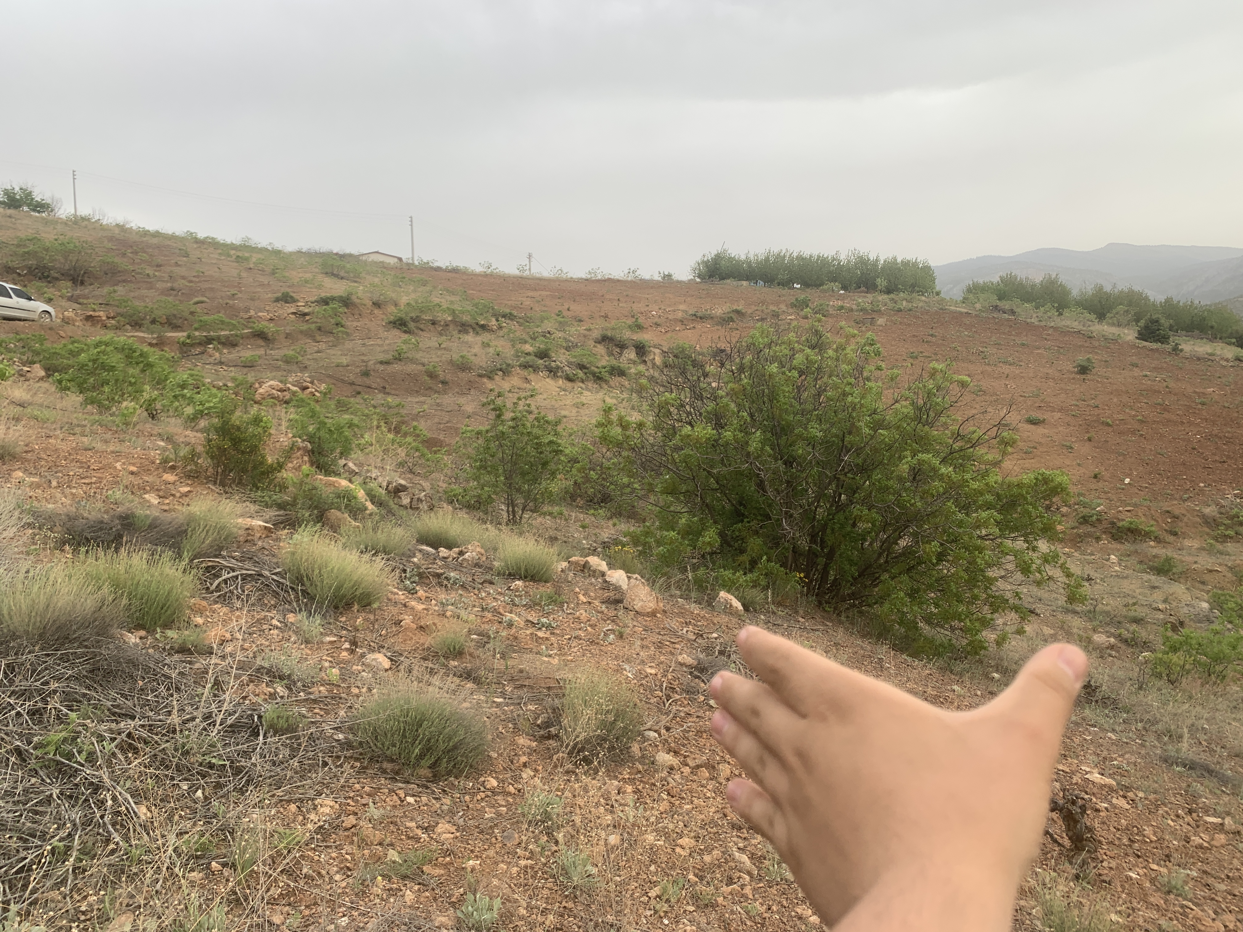KONYA HADİM AŞAĞI EŞENLER KÖYÜNDE 1.064 M² TARLA SATILIKTIR - KONYA HADİM fotoğraf 20