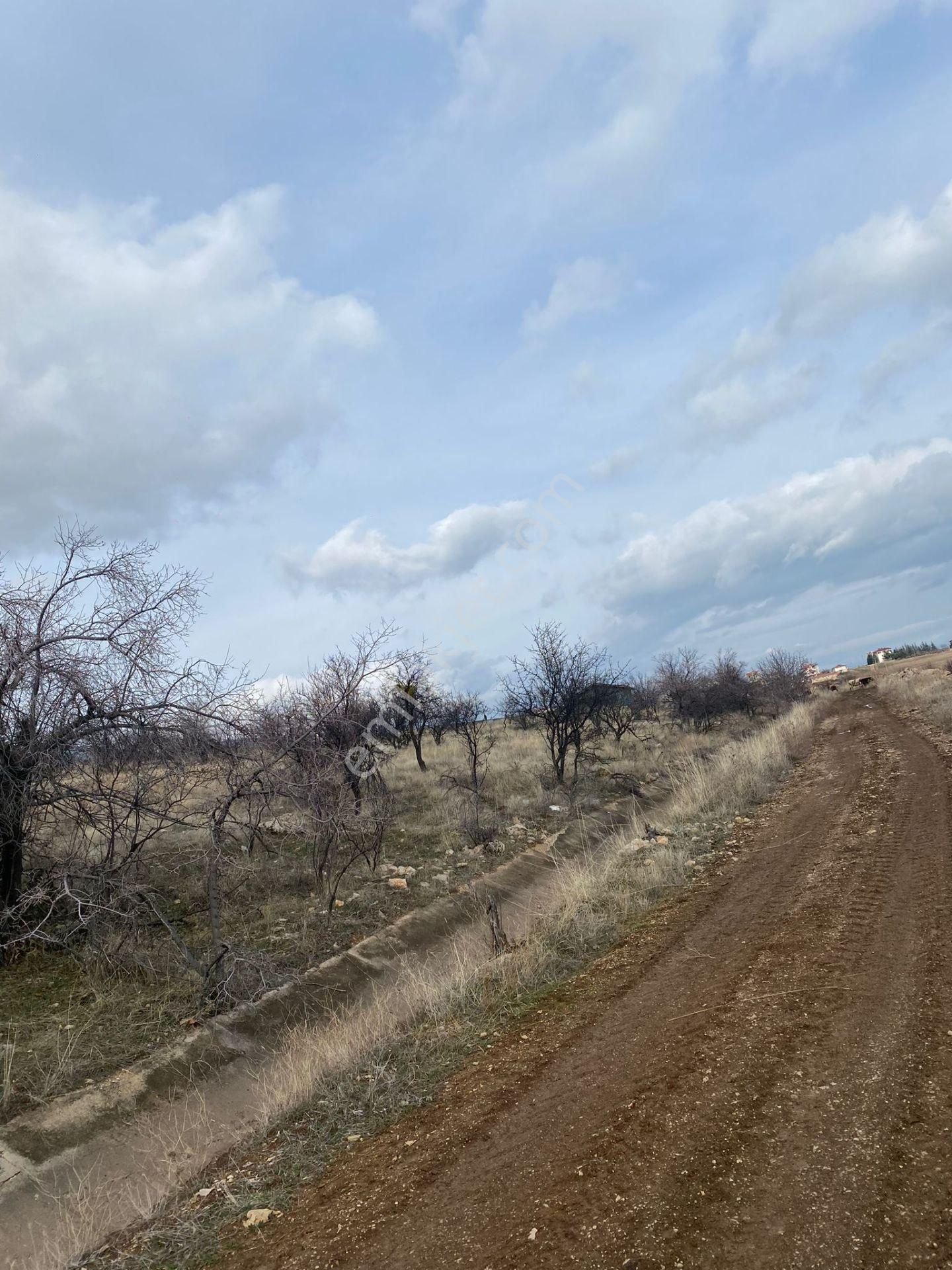 Isparta Eğirdir Bağören Satılık Göl Manzaralı Arazi - ISPARTA EĞİRDİR fotoğraf 14