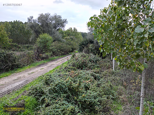 YATIRIM FIRSATI! ERENLER/ŞEYHKÖY MAH. 24.620 M² - SAKARYA ERENLER fotoğraf 5