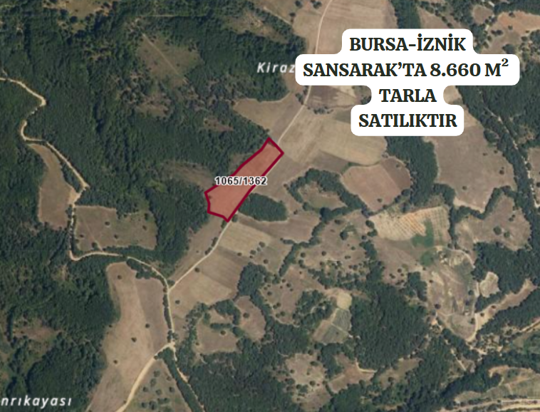 BURSA İZNİK SANSARAK  8.660  M² TARLAMIZ SATILIKTIR - BURSA İZNİK fotoğraf 2
