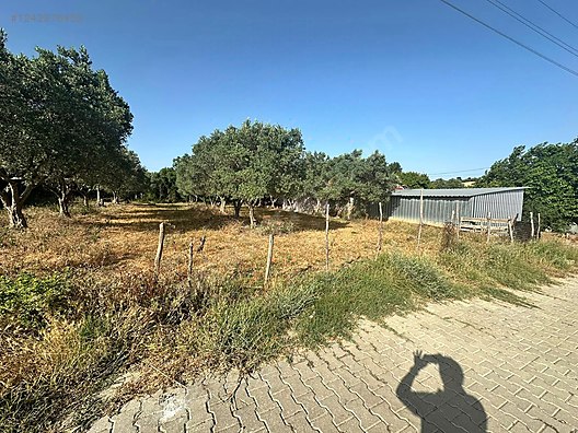 BURSA KARACABEY DAĞKADI KÖYÜNDE  576  M² ARSA  SATILIKTIR - BURSA KARACABEY fotoğraf 4