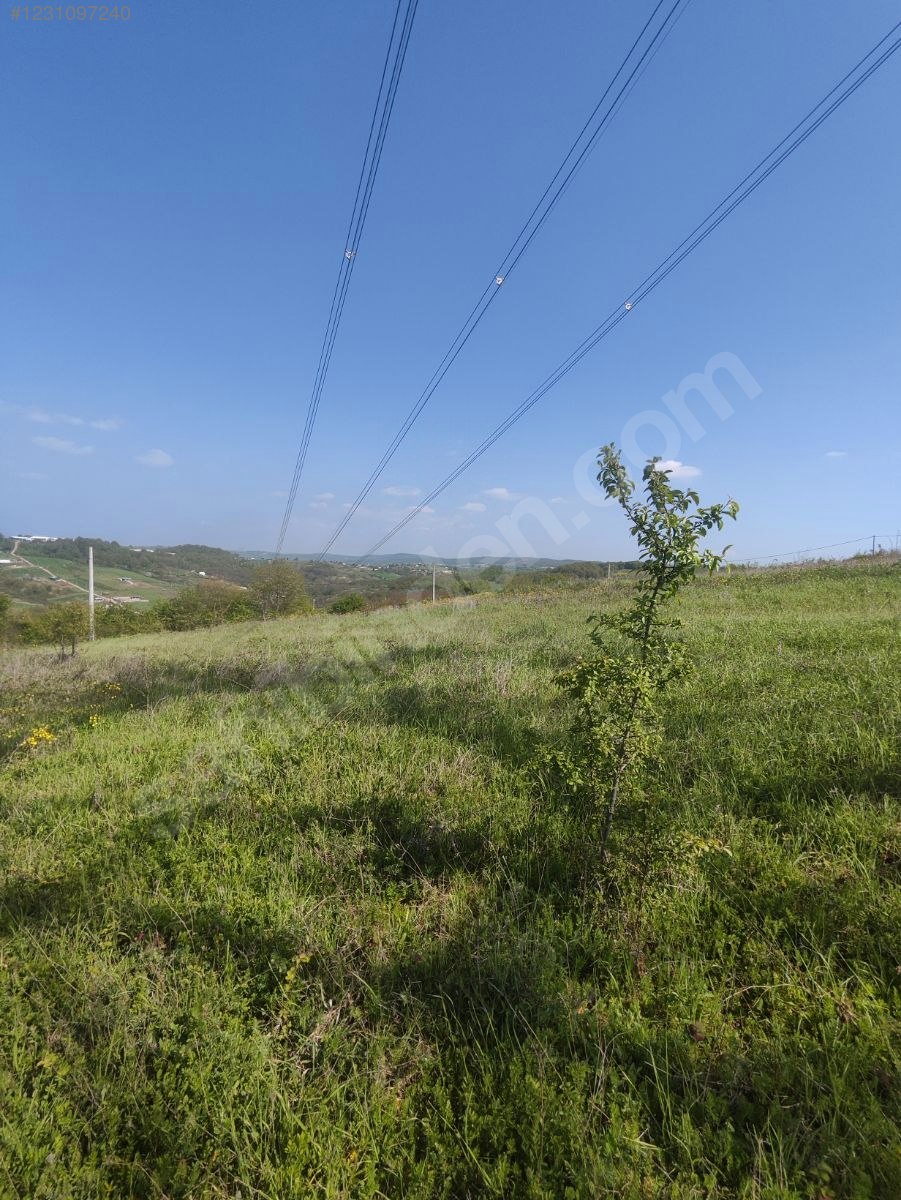 açıklamayı okumadan mesaj ve arama yapmayın acil satılık - KOCAELİ KÖRFEZ fotoğraf 8