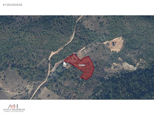 AYHAN HEPDİKER DEN GEYVE ILICA'DA 3863 M2 YOLLU ORMAN MANZARALI - SAKARYA GEYVE fotoğraf 7