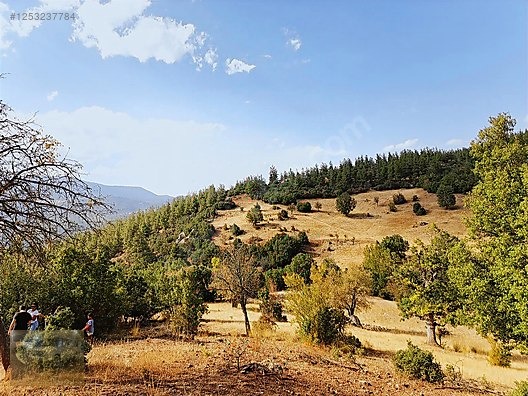 konyaaltı Doyranda 629m tapulu arsa - ANTALYA KONYAALTI fotoğraf 8