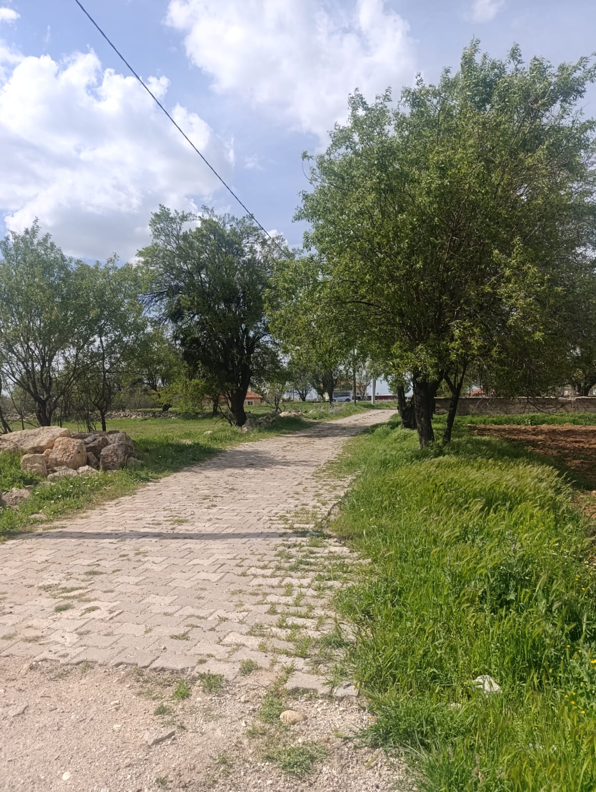 UŞAK KARAHALLI ÇOKAKLI KÖYÜNDE 616M² TARLAMIZ SATILIKTIR  - UŞAK EŞME fotoğraf 7