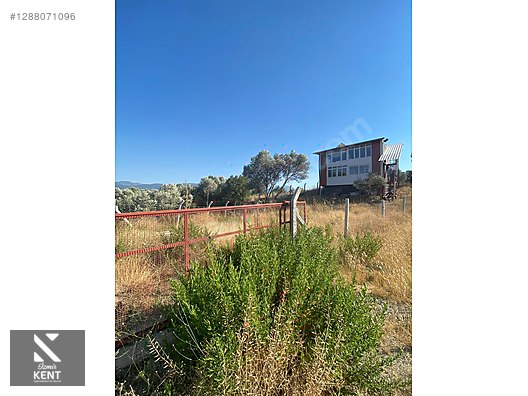Kemalpaşa Çambel 425 m2 Hazır Kurulu Evli Bahçe - İZMİR KEMALPAŞA fotoğraf 19