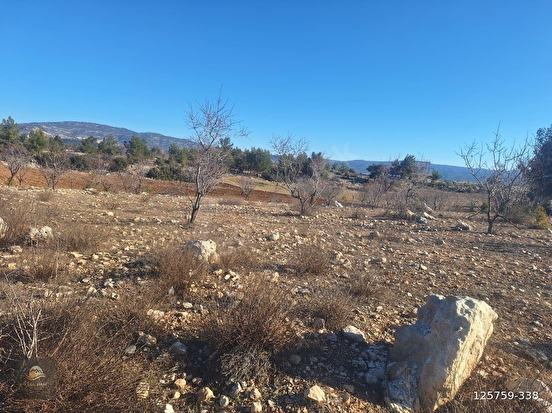 GÜLNAR SARAY MAHALLESİNDE SATILIK 10500 M2 TARLA - MERSİN GÜLNAR fotoğraf 10