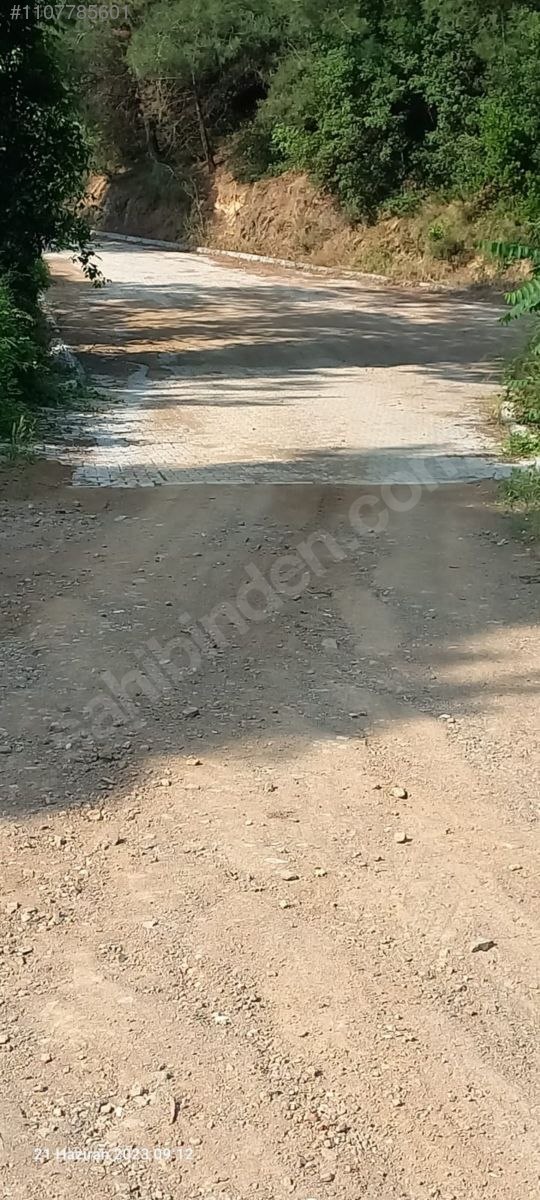 BURSA MUDANYA IŞIKLI  KÖYÜNDE 2.382 M² ZEYTİNLİK SATILIKTIR. - BURSA MUDANYA fotoğraf 9