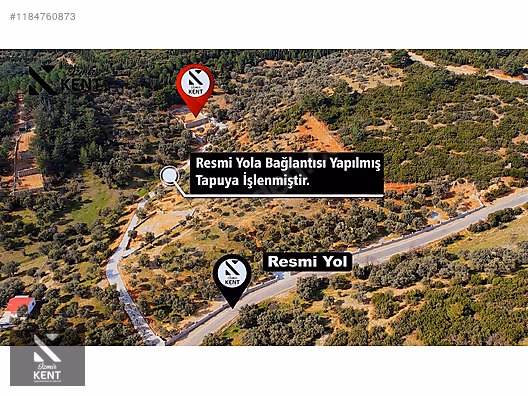 Kemalpaşa Sütçüler Satılık 873 m2 Zeytinlik - İZMİR KEMALPAŞA fotoğraf 49