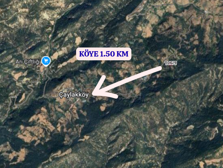 BOLU GÖYNÜK ÇAYLAK  KÖYÜNDE 1.980  M² TARLA  SATILIKTIR - BOLU GÖYNÜK fotoğraf 5