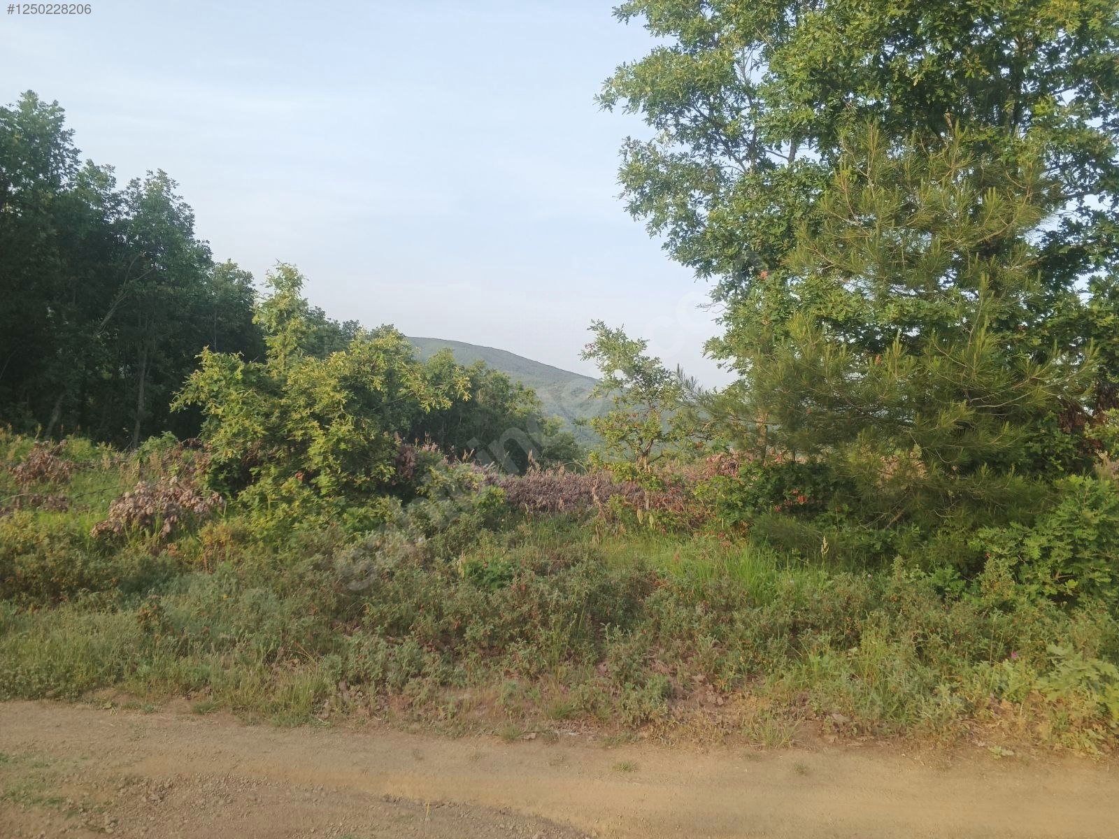 BURSA KESTEL KAYACIK KÖYÜ’NDE 5.523 M²  TARLA SATILIKTIR - BURSA KESTEL fotoğraf 15