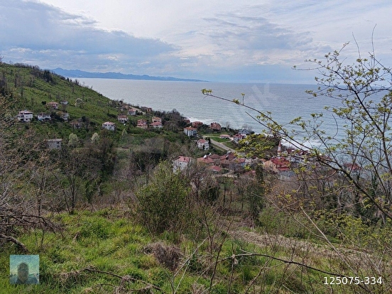 perşembe caytepe mah imarlı satılık, 4402m2 manzaralı bahçe satılık. - ORDU PERŞEMBE fotoğraf 5