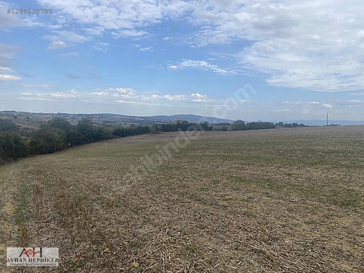 KOCAELİ ARAMAN DA ADAPAZARI KANDIRA YOLUNA CEPHELİ 3506 M2 TARLA - KOCAELİ KANDIRA fotoğraf 38