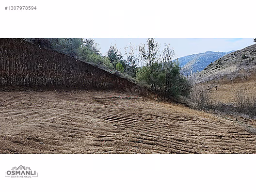 KÜRE KÖYÜNE 5 DK MESAFEDE İÇİ DÜZELTİLMİŞ 1.450 M2 SATILIK ARAZİ - BİLECİK SÖĞÜT fotoğraf 4