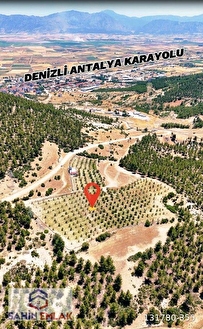 ŞAHİN EMLAKTAN DENİZLİ ACIPAYAM YUKARI MAH.5 TAPULU TOPLAM 16.362 M2 KURULU DÜZE - DENİZLİ ACIPAYAM fotoğraf 3