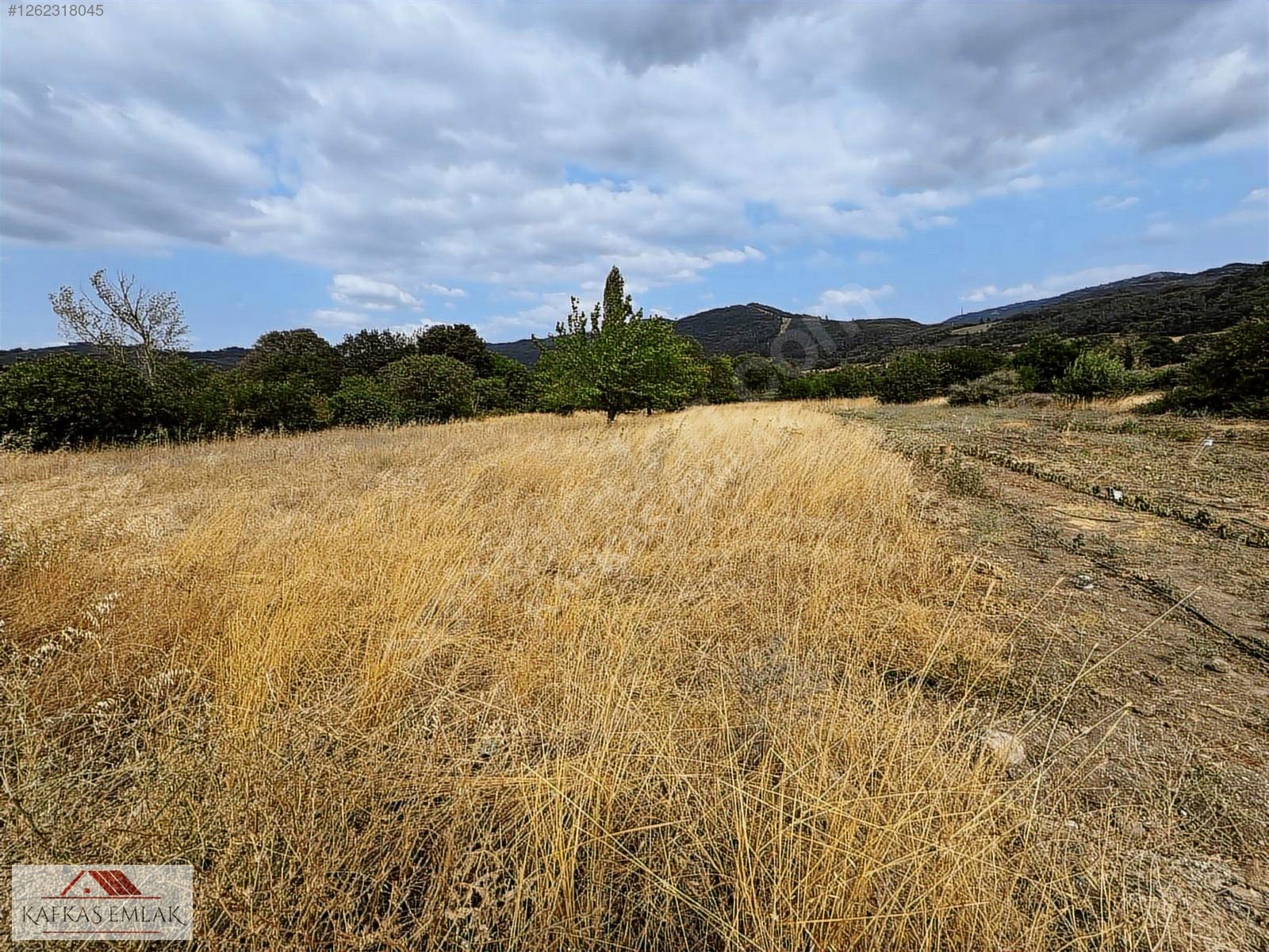 680 M2 HOBİ BAHÇESİ - BURSA MUSTAFAKEMALPAŞA fotoğraf 15