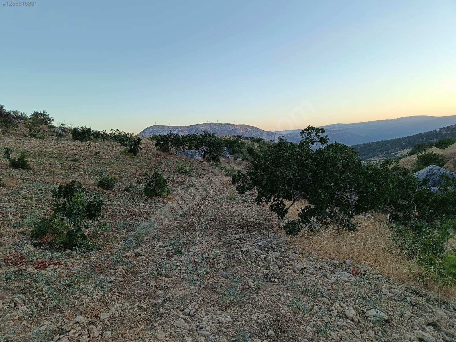    MERSİN MUT GEÇİMLİ KÖYÜ 6,866M² BAĞIMIZ SATILIKTIR.   - MERSİN MUT fotoğraf 12